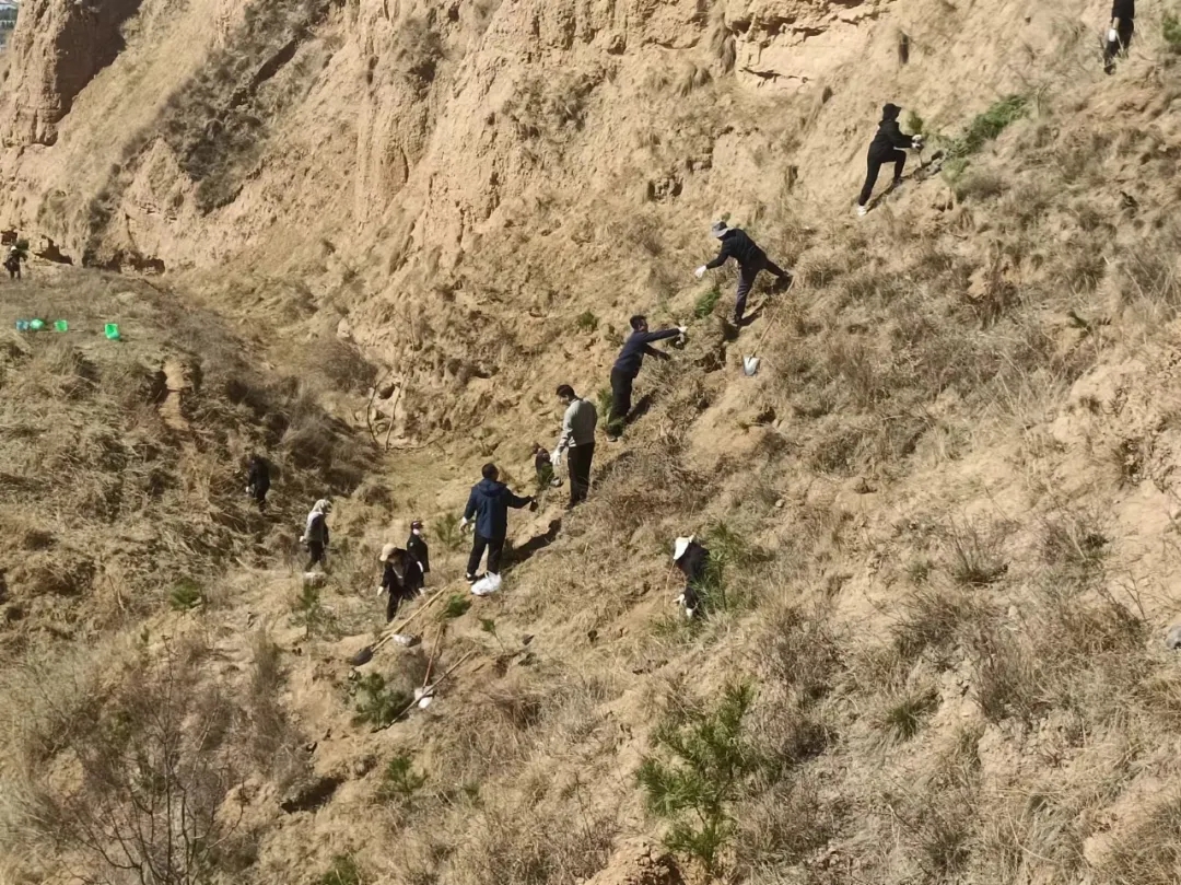 市产投集团开展义务植树活动(图2) 市产投集团开展义务植树活动(图2)